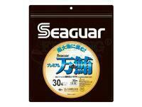 Fluorocarbon Seaguar Premium Manyu 30m 0.81mm PE: #24