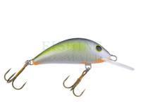 Wobler Gloog Hektor 50NF-RGF