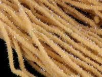 Hends Mop Chenille - 103
