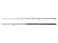 Wędka Savage Gear Defiance SG2 Shore Jigging 2.90m 50-120g