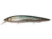 Wobler Megabass Kanata SW 160mm 31g - FA SABA