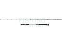 Wędka Penn Prevail III Light Jigging Cast 2.04m max 120g