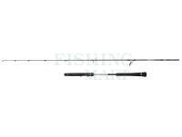 Wędka Penn Prevail III Light Jigging Spin 2.04m max 120g