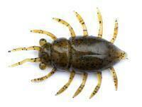 Przynęty miękkie FishUp Maybug 1.3" #074 - Green Pumpkin Seed