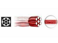 Przypony Dragon Surflon 1x7 Invisible Red A.F.W 20cm 13kg