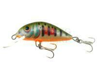 Wobler Dorado Scout ST-4 Floating DGR