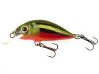 Wobler Dorado Scout ST-4 Floating RBD