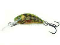 Wobler Salmo Hornet H2S  RIP