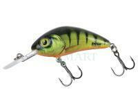Wobler Salmo Hornet Rattlin 5.5cm 10g F - Hot Perch