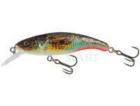 Wobler Salmo Slick Stick 6cm - Supernatural Gobie