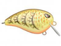 Wobler Spro Baby Fat John 50 5cm 10.4g - Pig Pen