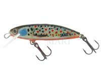 Woblerek Hunert Skaut 40mm 1.7g F - TR