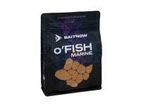 Zanęta Method Feeder BaitNow O’Fish Marine