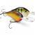Rapala DT (Dives-To) Series