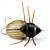 Imago Lures Woblery Maybug