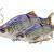 Savage Gear Przynęty 3D Line Thru Roach