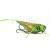 Imago Lures Przynęty Hopper Flow