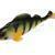Mikado Przynęty MFT Perch 10cm