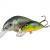 Dorado Woblery Scout