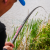 Preston Wędka Tyczka Dura Carp 800 8m Pole