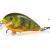 Salmo Woblery Butcher