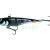 HMG Lures Woblery DeepRAP PRO 70