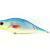 Dorado Woblery Tempter 18 Big Mama