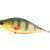 Dorado Woblery Tempter 18 Big Mama